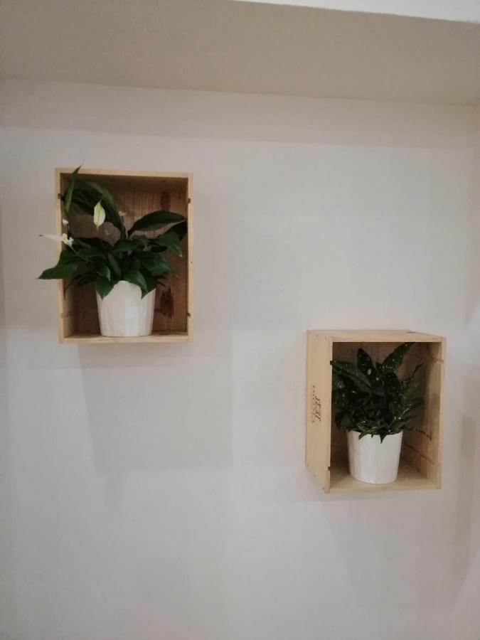 Apartamento Luna De Noviembre Μάλαγα Εξωτερικό φωτογραφία